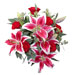 Fall Specials from Russian Flora - gifts and flowers to Russia and CIS